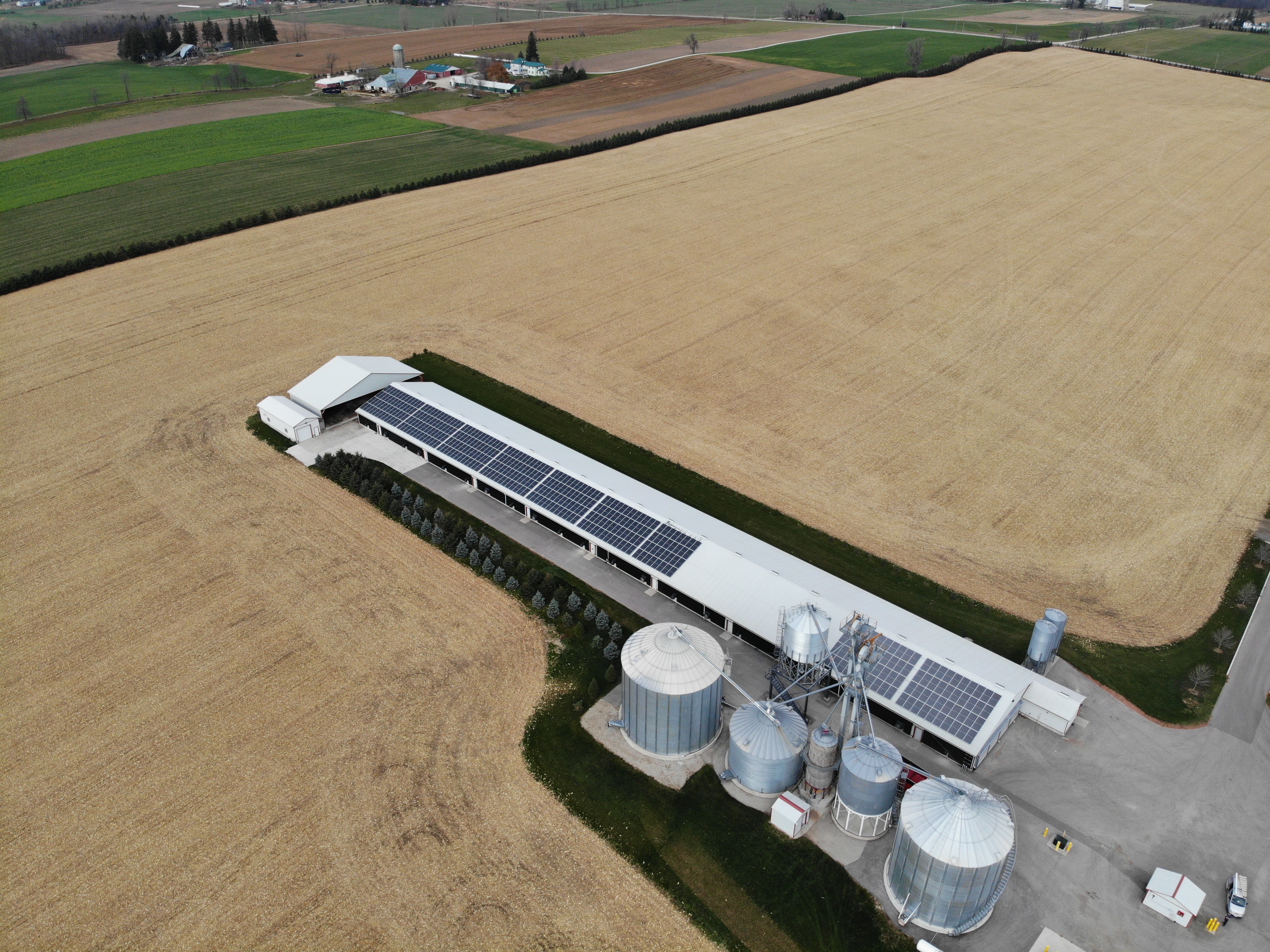 Buchrest Farms